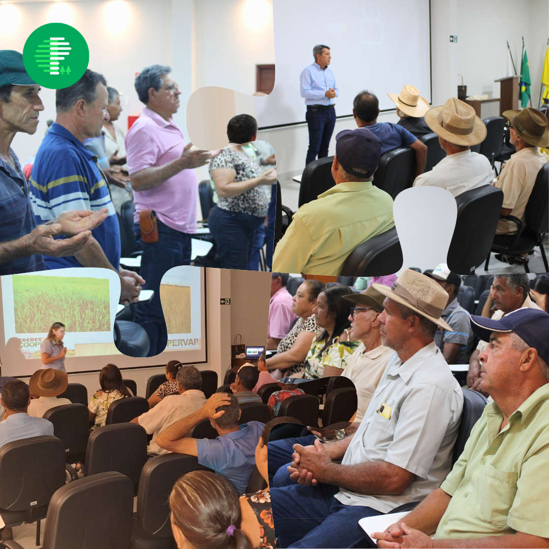 Reunião do Comitê Educativo da Coopervap: Reflexões sobre o Mercado de Leite, Grãos e Gestão Cooperativista
