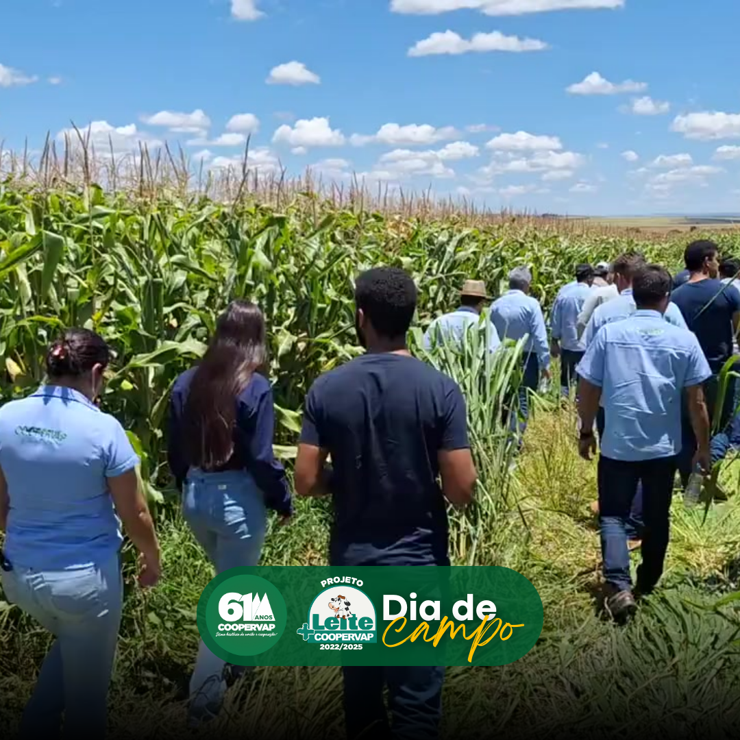 Dia de Campo destaca o Plantio Direto de Milho para Silagem no Sítio Nossa Senhora Aparecida